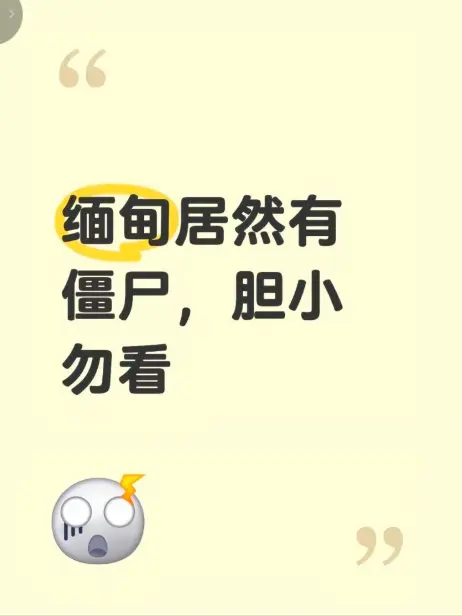 《缅甸僵尸出土事件》高清无删减免费播放-揭秘缅北僵尸出土事件真相-最新高清完整版在线观看