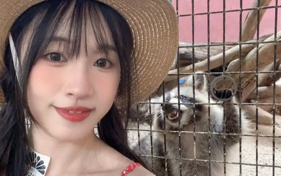 苏畅Vlog视频大全-国产女神苏畅1080P高清版在线观看-全集免费观看无删减