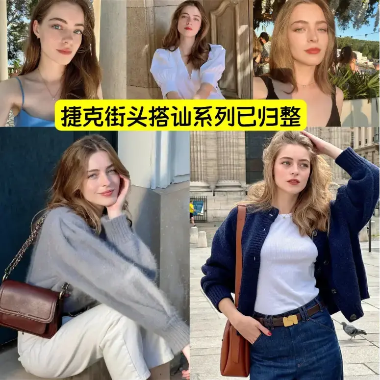 捷克街头系列1-100集1080P高清中字完整版在线观看_捷克街头钞能力无删减版HD高清资源
