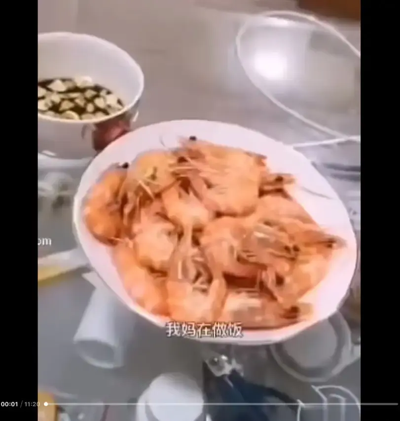 《大虾母子厨房完整版》视频资源免费在线观看-高清画质百度夸克迅雷网盘下载-全网热播猎奇视频大虾母子厨房完整版内容揭秘